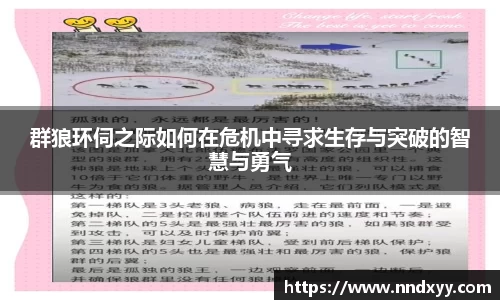 今年会手机下载