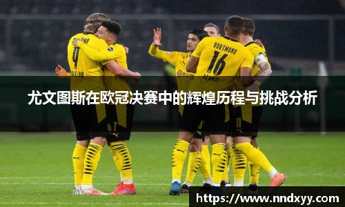 今年会官方网站