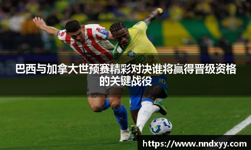 今年会手机下载