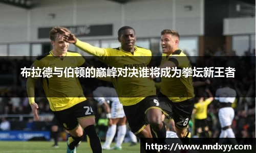 今年会手机下载