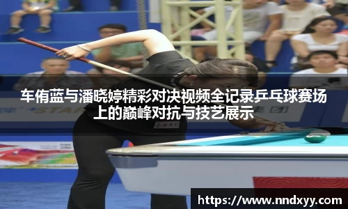 今年会手机下载