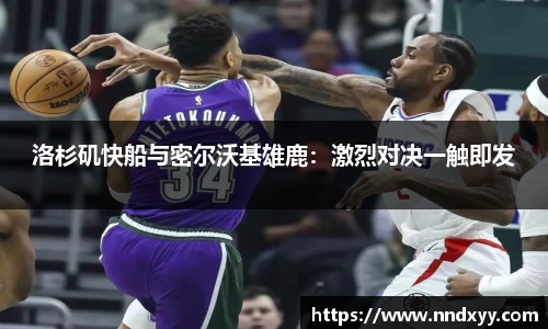 今年会官方网站